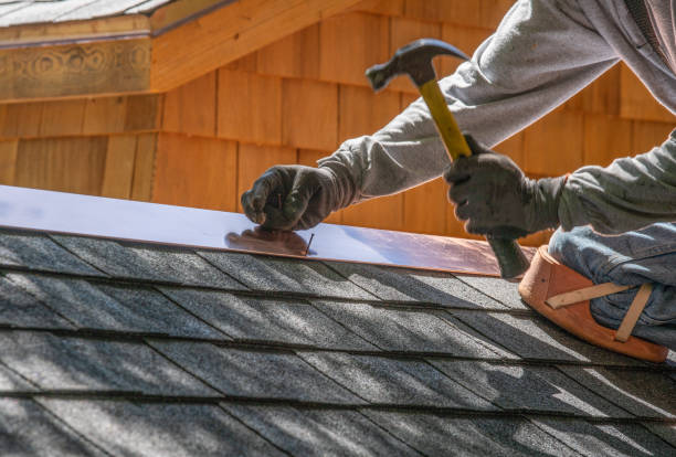 Best Roof Moss and Algae Removal  in La Croft, OH