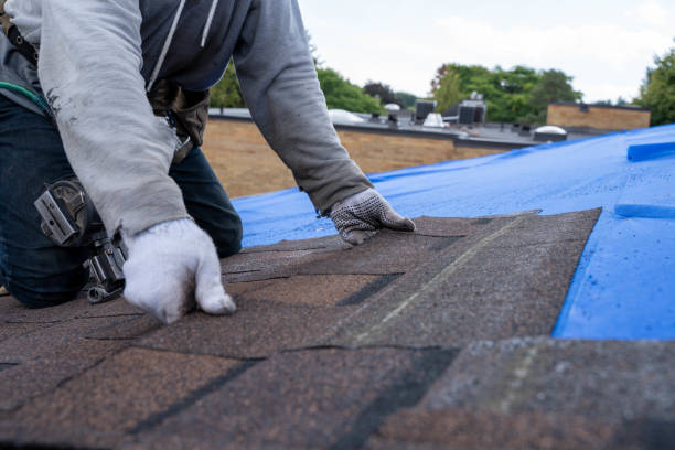 Best Storm Damage Roof Repair  in La Croft, OH